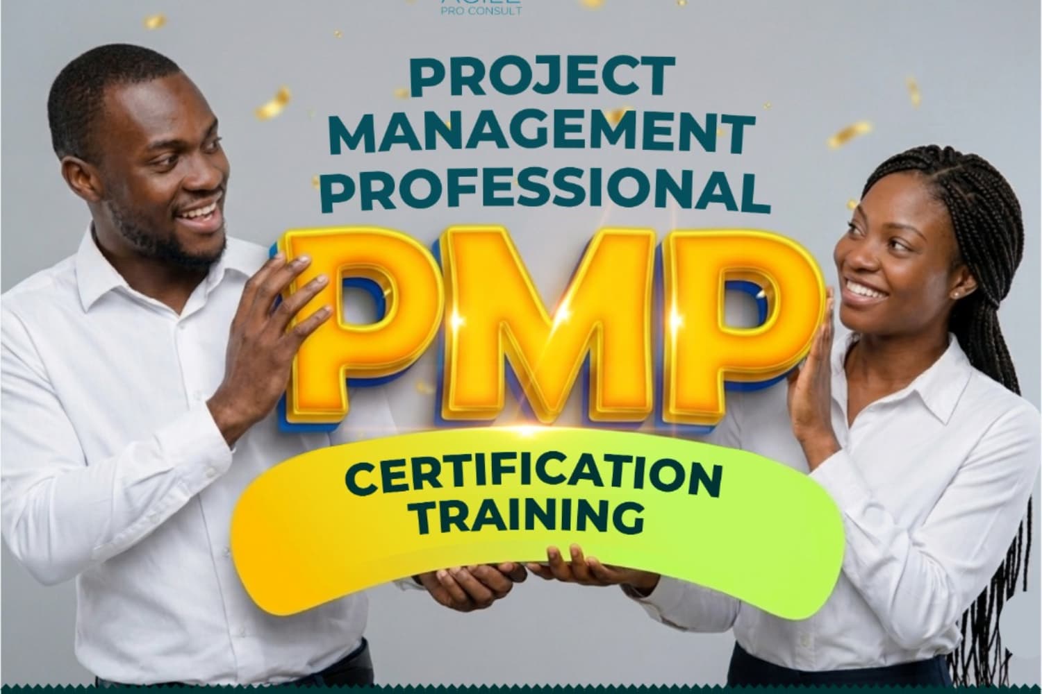 PMP (Project Management Professional) Certification