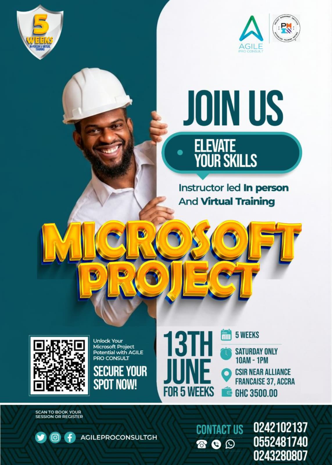 Microsoft Project (MP) Mastery